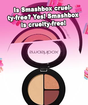 Smashbox box